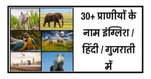 Animal Name in Hindi - प्राणियों के नाम